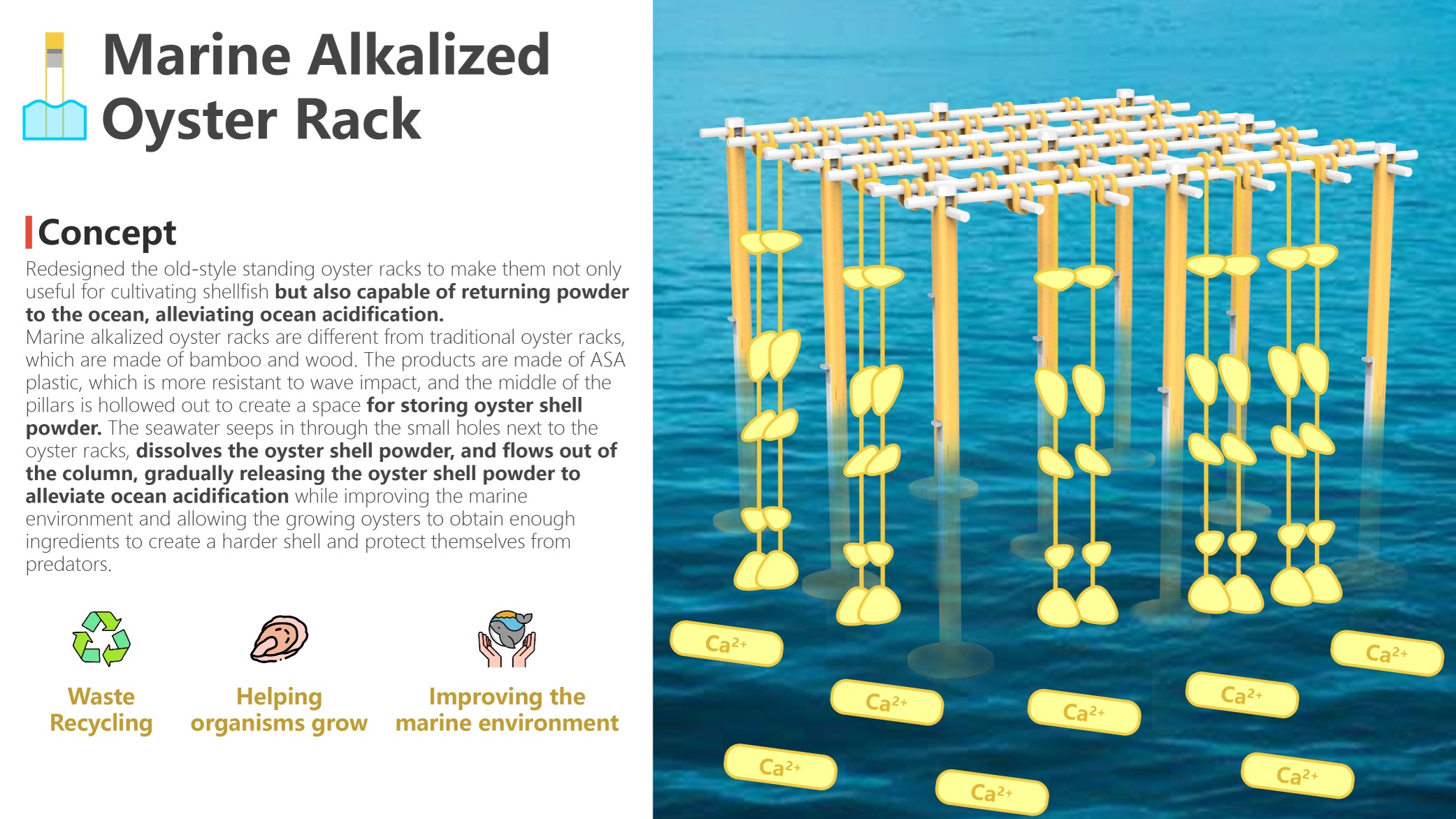 Marine Alkalized Oyster Rack, ESG Award Winner, 2025 ISARCH ESG Award – Student