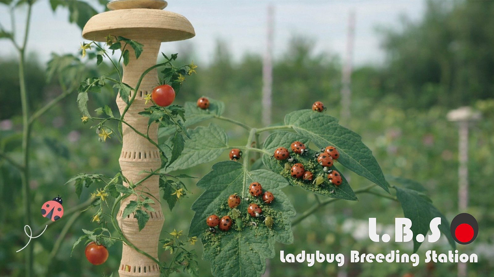 L.B.S.Ladybug Breeding Station, ESG Award Winner, 2026 ISARCH ESG Award – Student