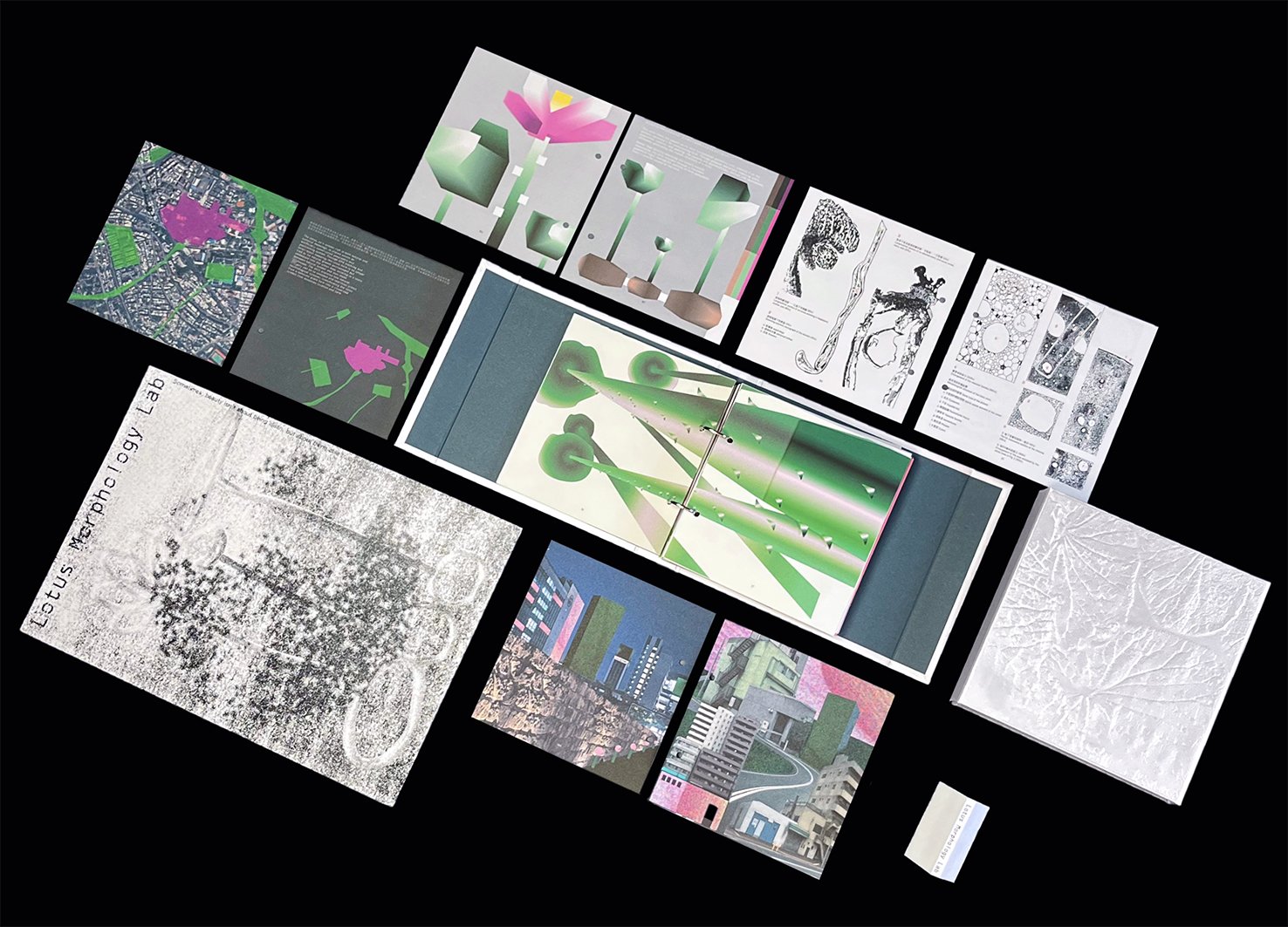 路特絲計畫 Lotus Morphology Lab, Winner, 2026 ISARCH Graphic Award – Student