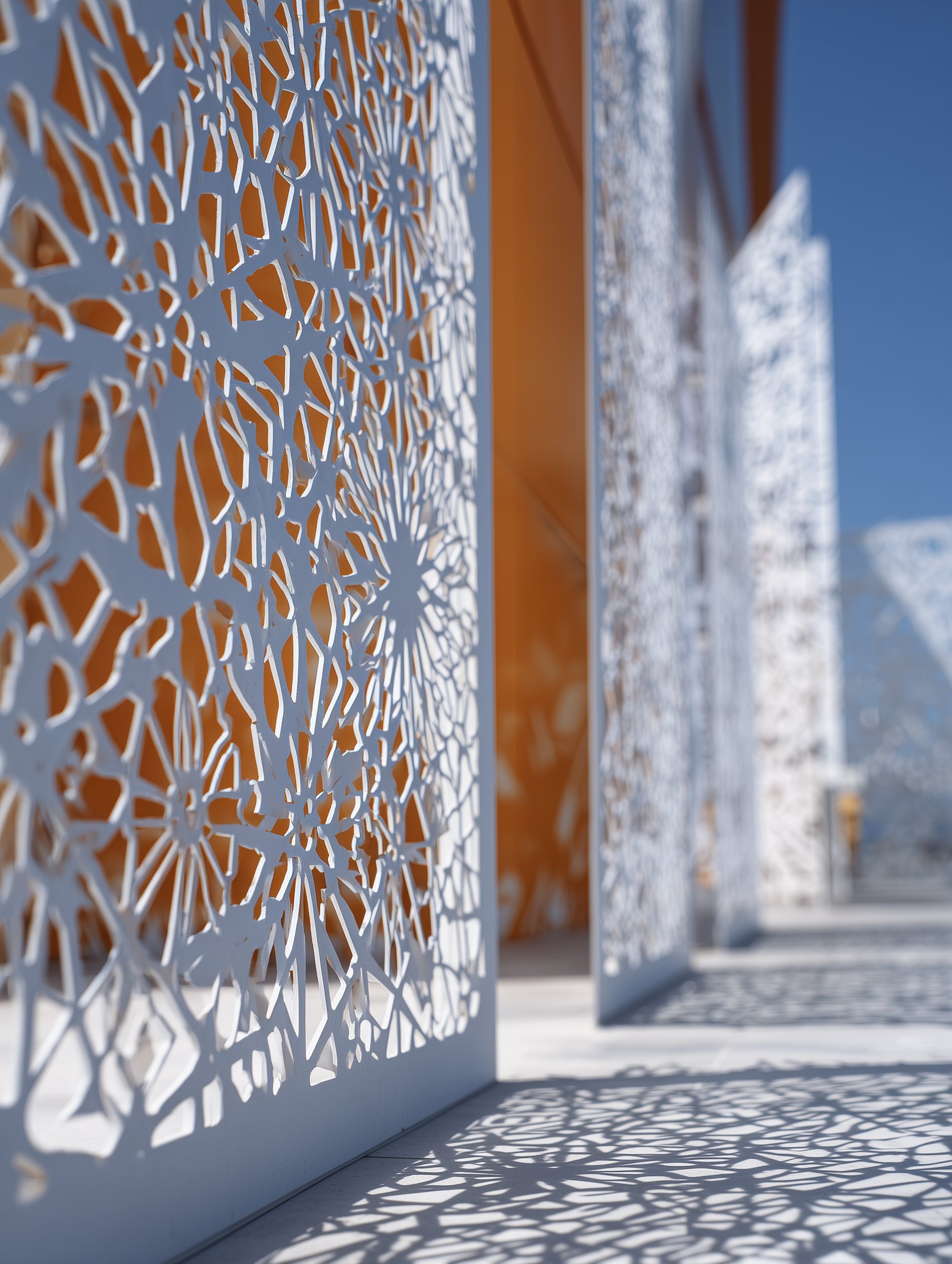 Sombra Tejida, Winner, 2026 ISARCH Art Award – Professional